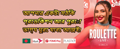 ডেইলি স্পিন অফার 🎰 promotion